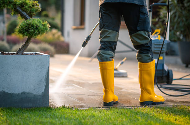 Deck Cleaning Services in Anacoco, LA